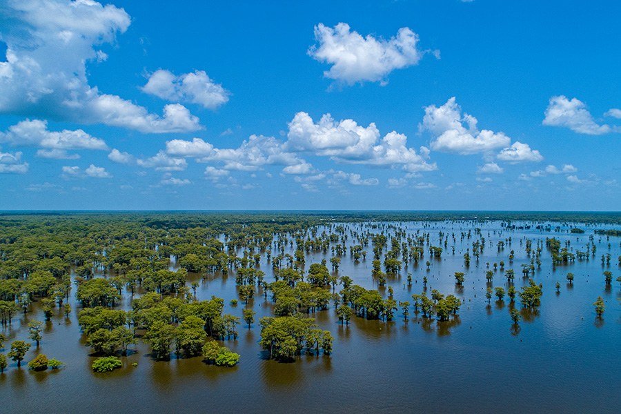 Atchafalaya Basin fishing water