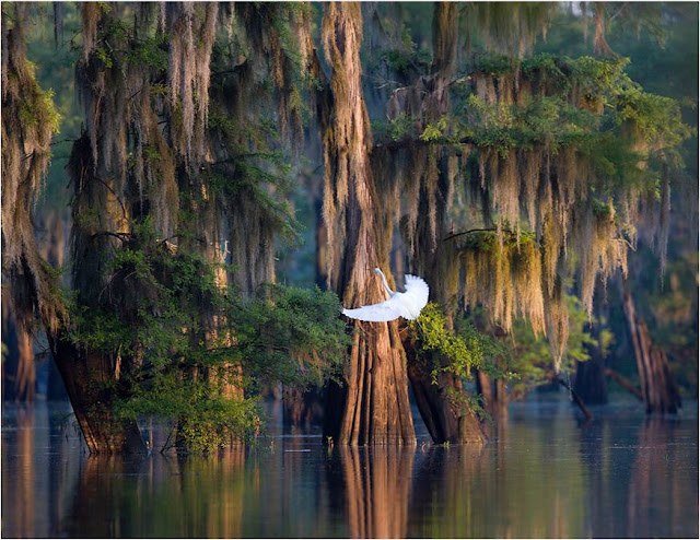 Atchafalaya Bay & Delta fishing water