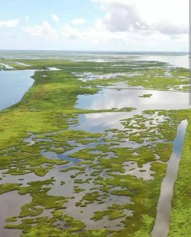 Barataria Basin fishing water