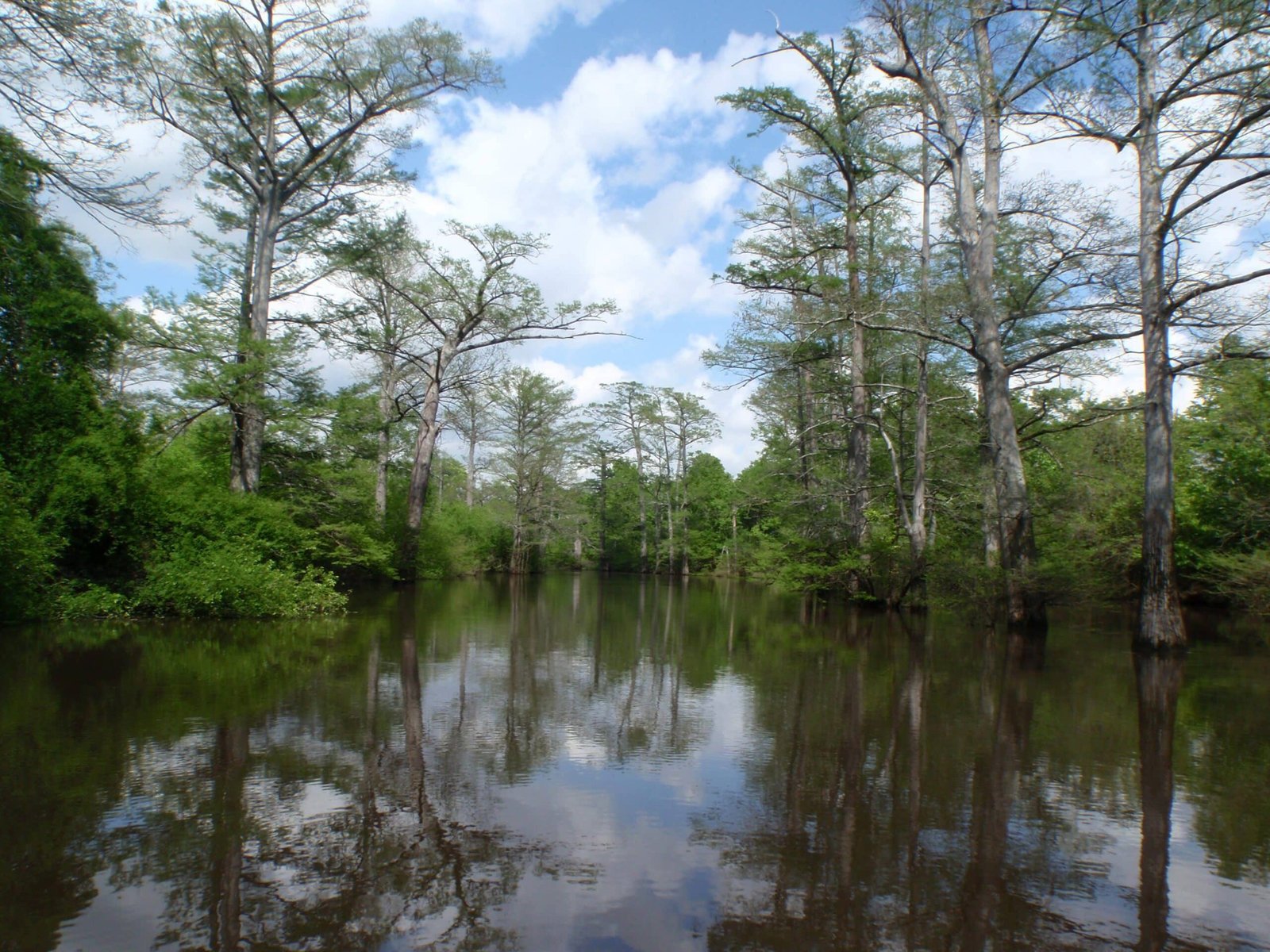 Bayou Bartholomew fishing water