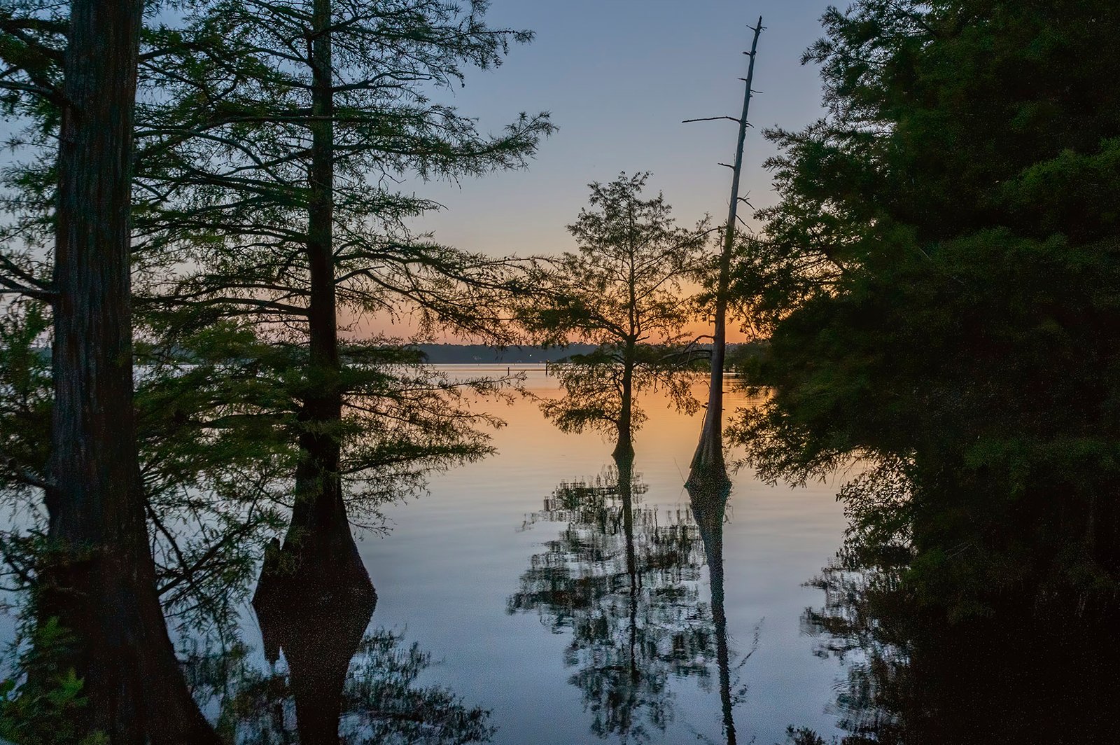 Bayou D’Arbonne fishing water