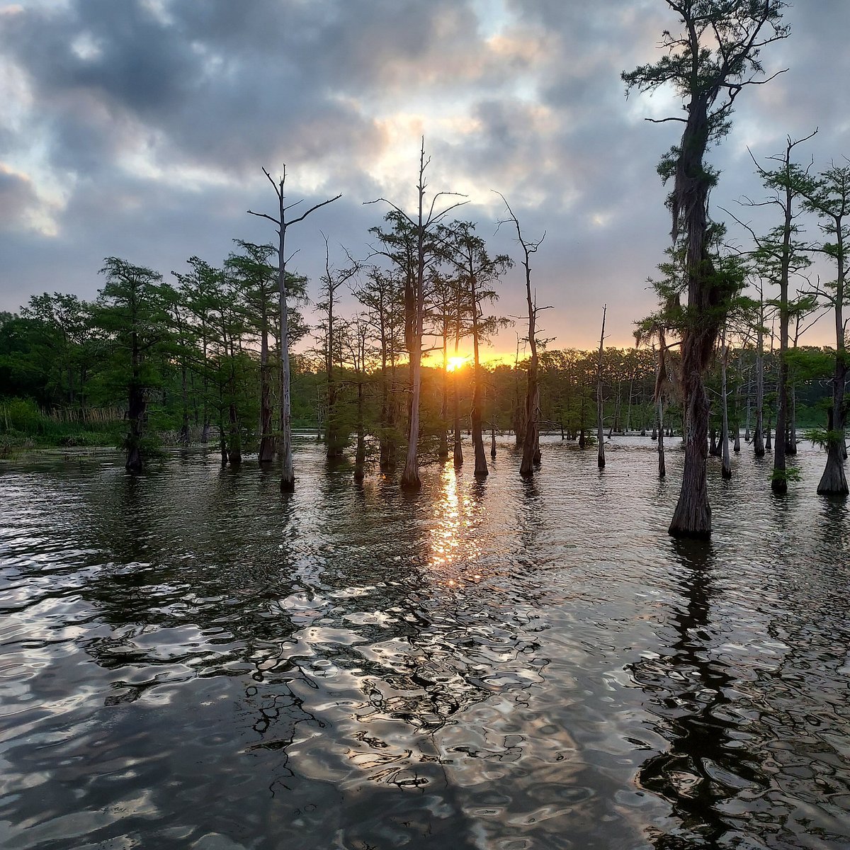 Black Bayou Lake (Hosston) fishing water
