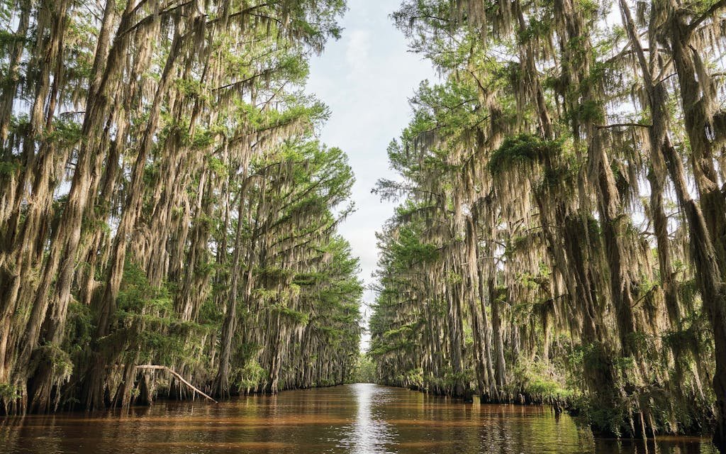 Caddo Lake fishing water