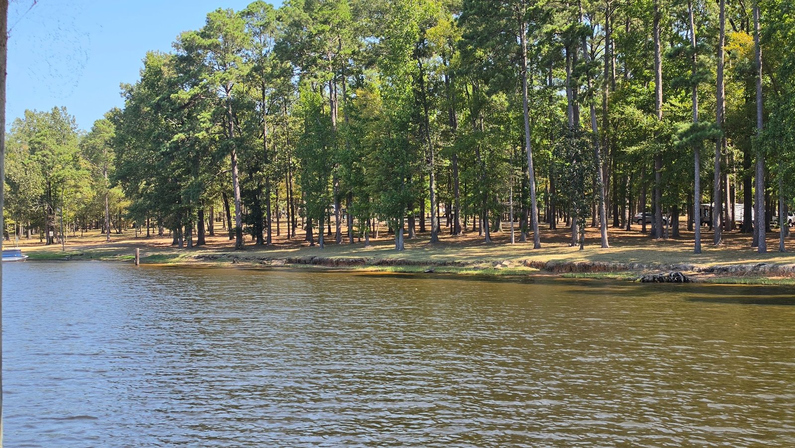Cypress Black Bayou Reservoir fishing water