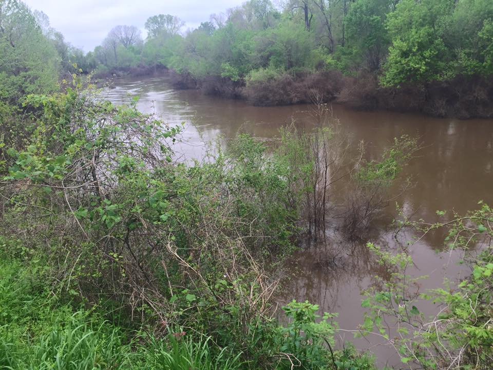 Flat River fishing water in Louisiana