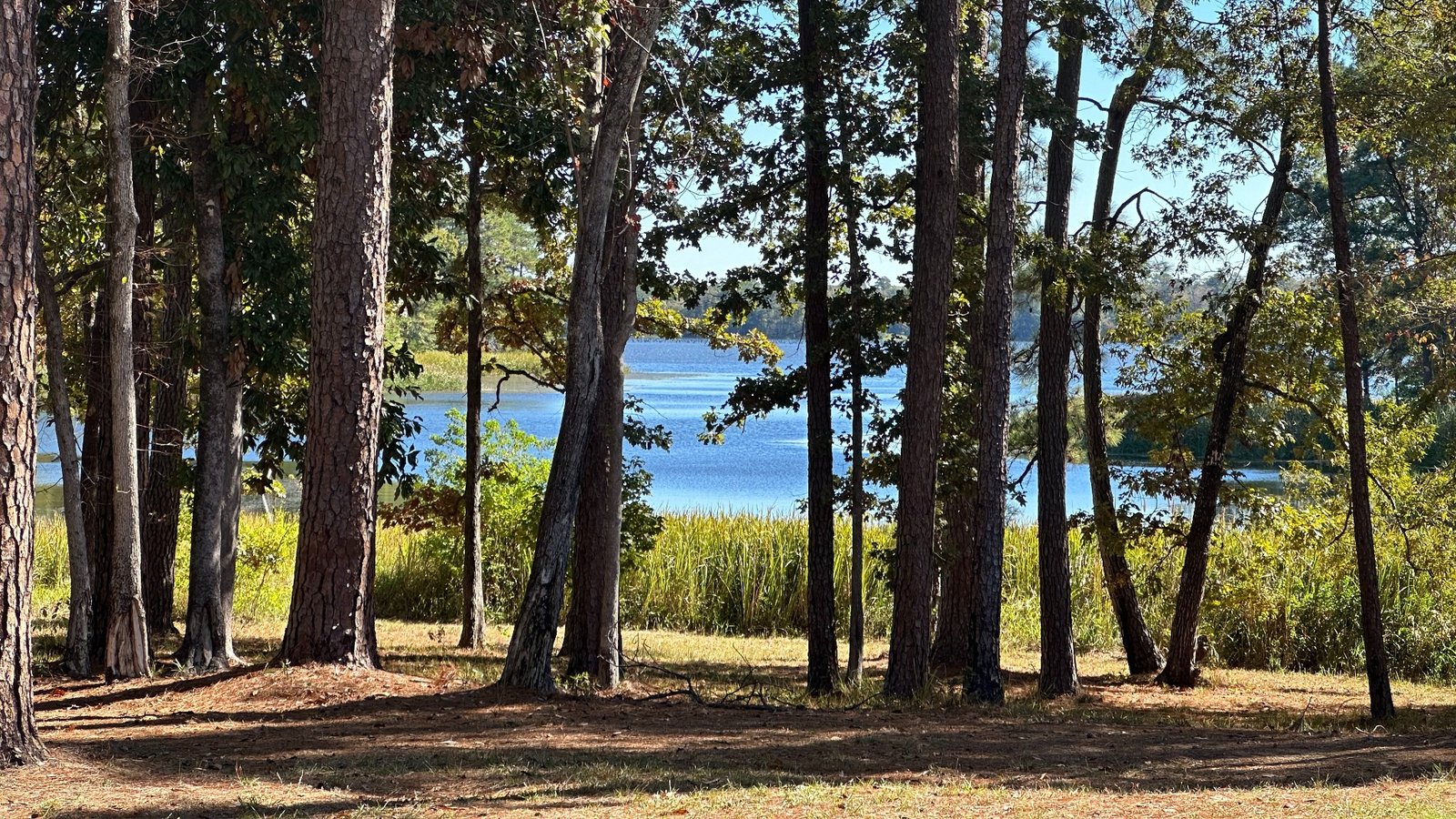 Indian Creek Reservoir fishing water