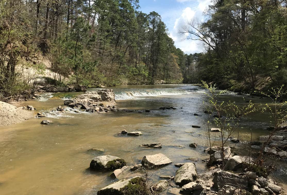 Kisatchie Bayou fishing water