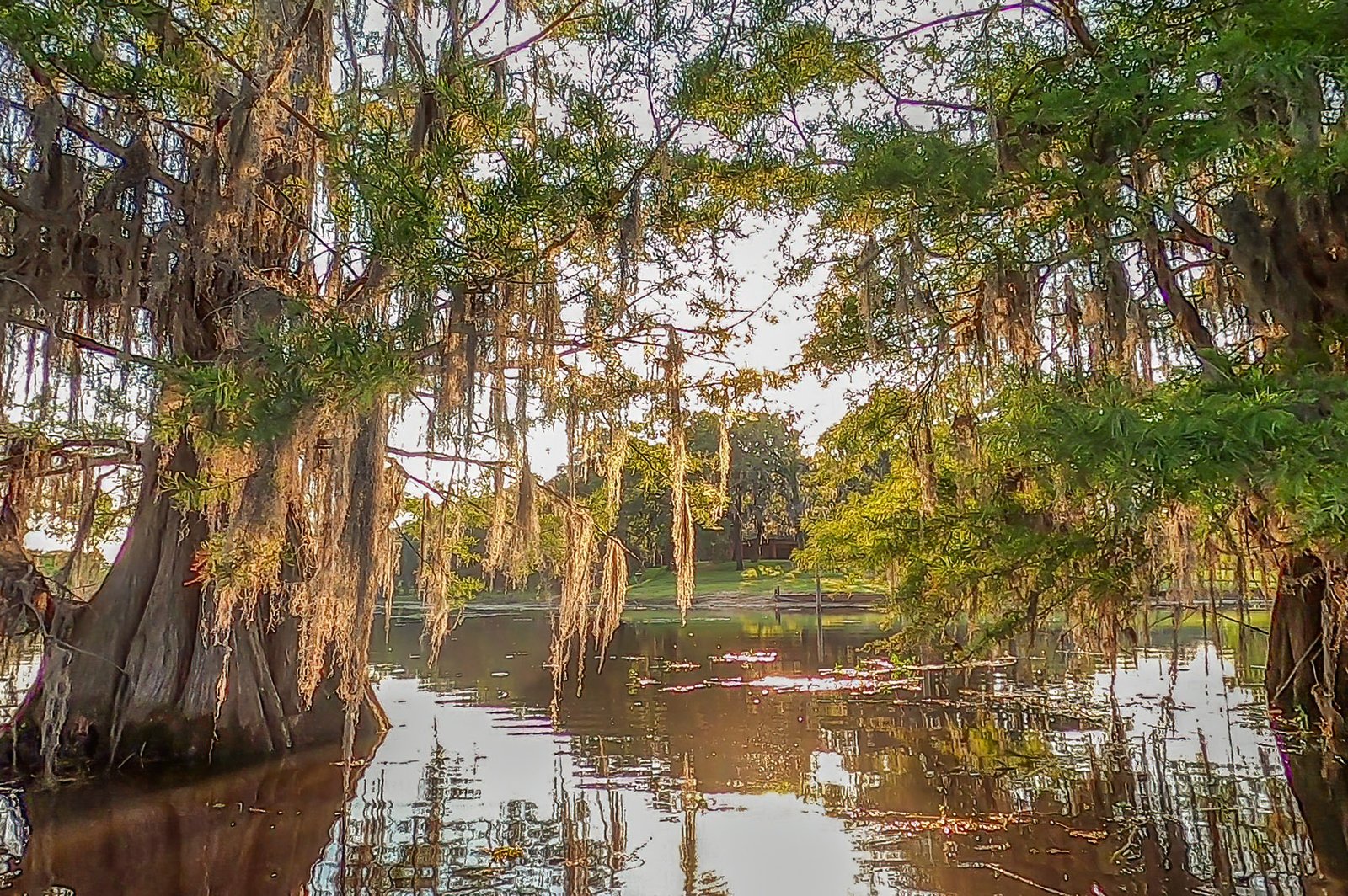 Lake Bistineau fishing water