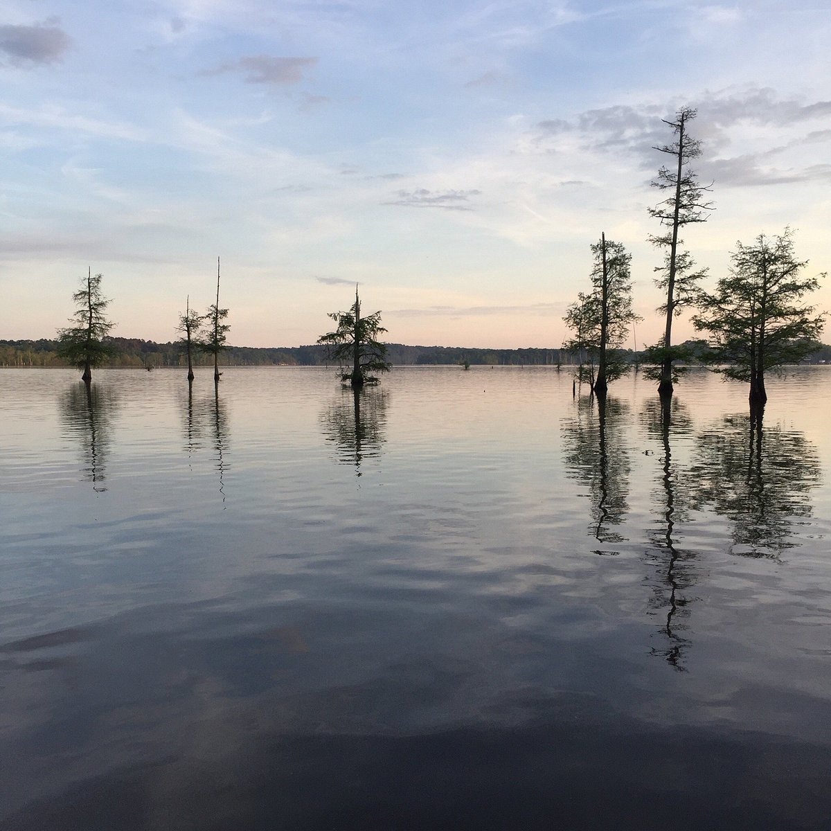 Lake D’Arbonne fishing water