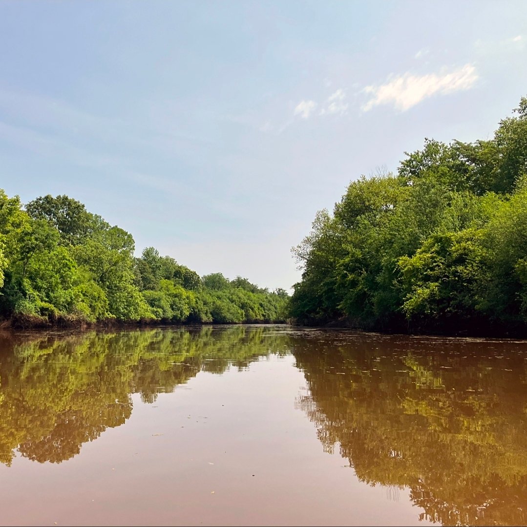 Loggy Bayou fishing water