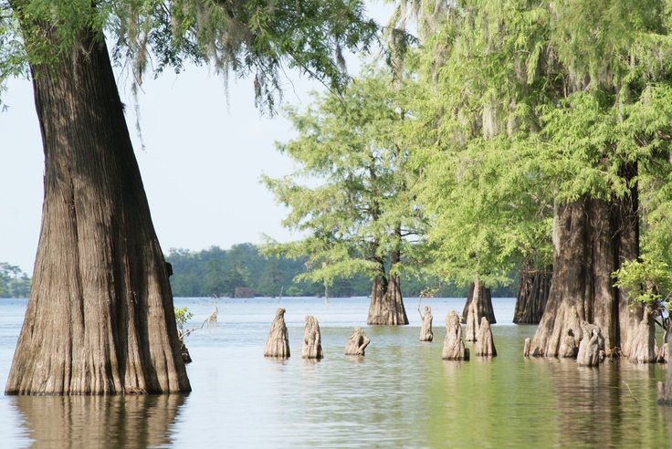 Saline-Larto Complex fishing water
