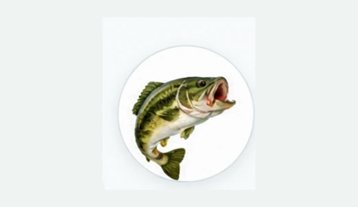 Bass fishing trivia